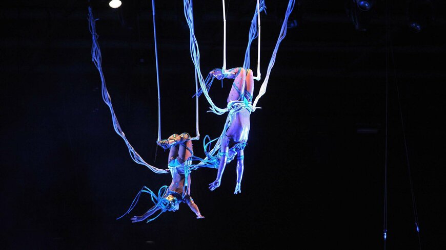 trapezistes